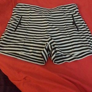 Ci Sono high waisted shorts